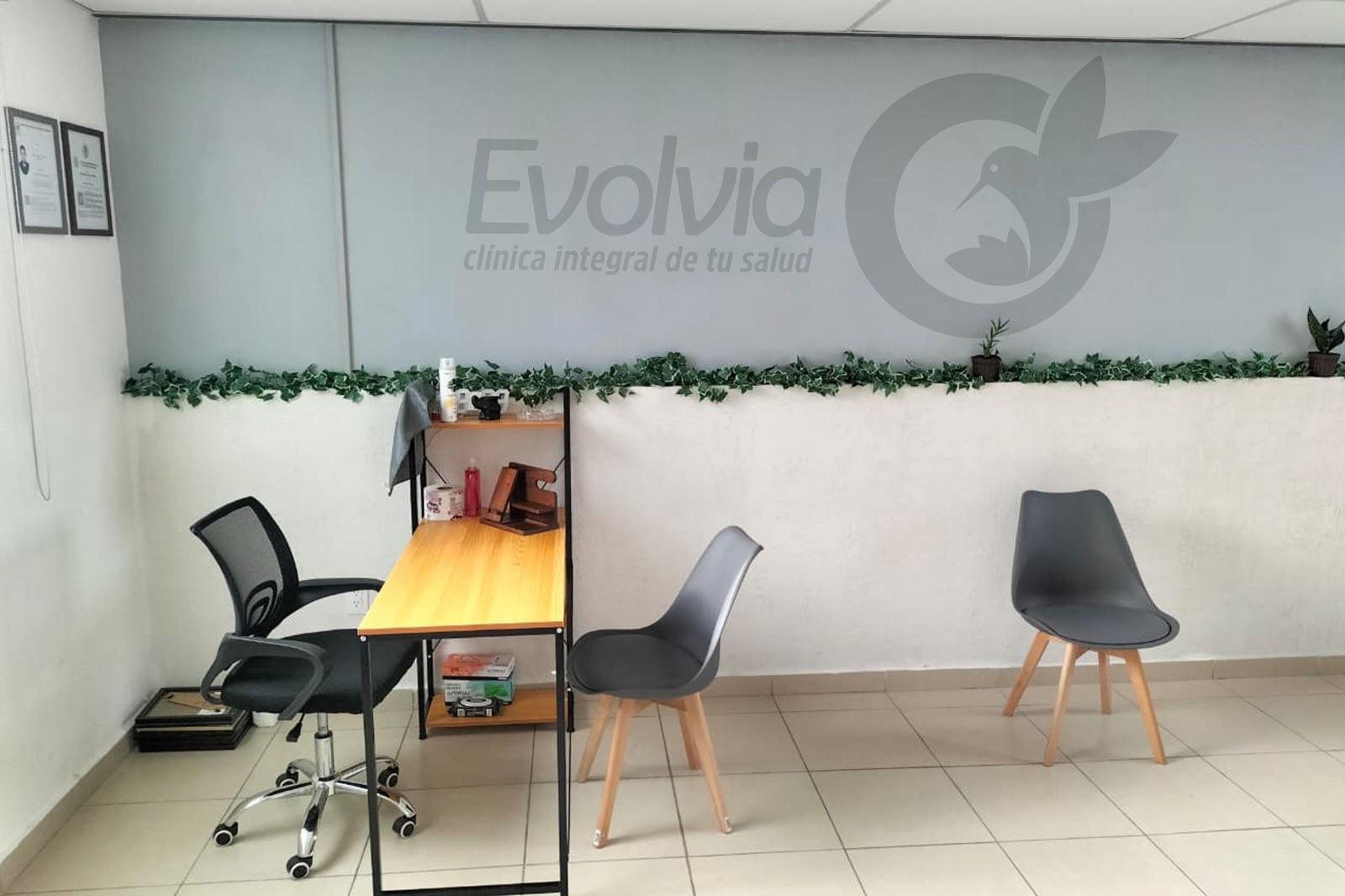 Consultorio de la clínica Evolvia en Morelia